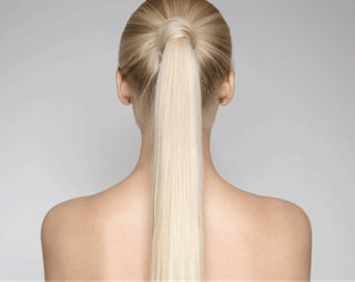 ponytail
